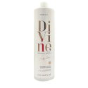 Shampooing Divine Anti-Frizz 1 L