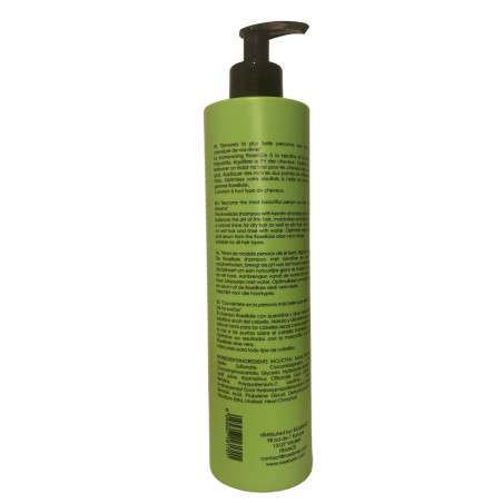 Shampooing kératine x Aloe Vera RoseBaie 500 ml (verso 1, EAN)