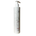 Shampooing Protect Color Rituel Capillaire AR Paris 250 ml (3/4 face)
