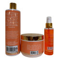 Kit premium shampooing + masque + sérum Amla & Ricin Mahal Liss (verso)