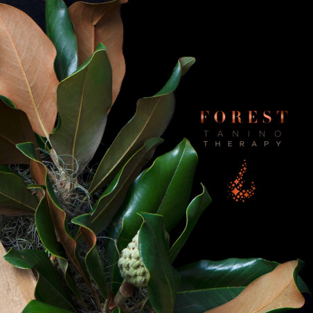 Gamme Forest Tanino de Lana Brasiles (logo gamme)